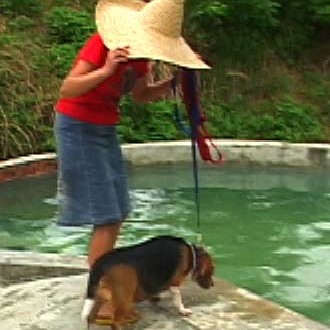 1380946085-4225808521