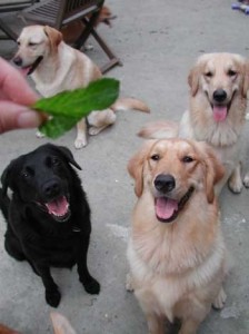 1380946088-2173471142