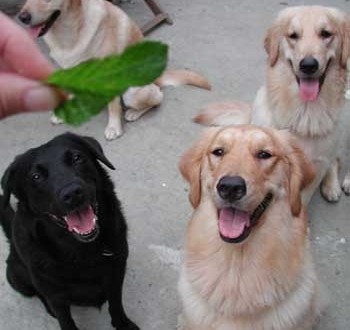 1380946088-2173471142