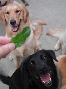 1380946089-1175246123