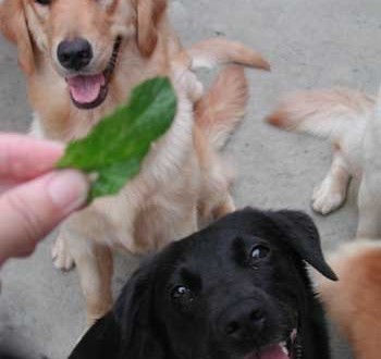 1380946089-1175246123