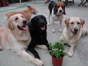 1380946089-2601067301