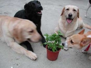 1380946089-3469862024