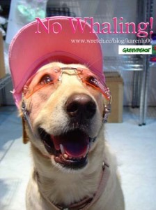 1380946090-1760337490