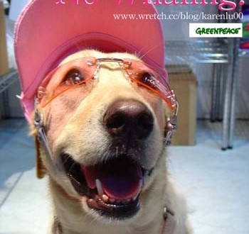 1380946090-1760337490