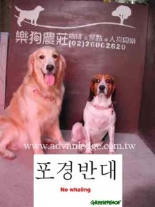 1380946091-429833672