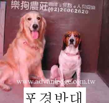 1380946091-429833672