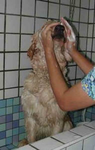 1380946098-2784220561