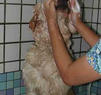 1380946098-2784220561