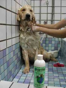 1380946098-3068645543