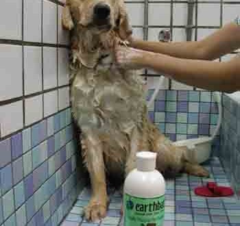 1380946098-3068645543