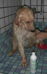 1380946099-3642875521