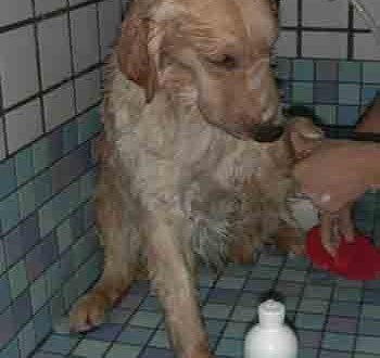 1380946099-3642875521