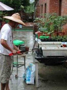 1380946101-2024449601