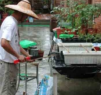 1380946101-2024449601