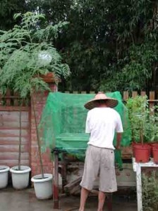 1380946101-3564806933