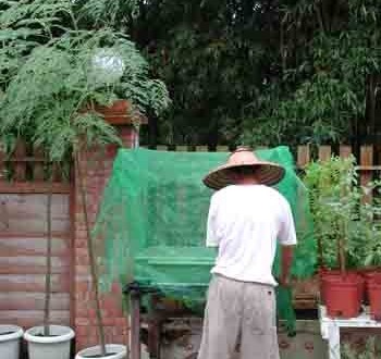 1380946101-3564806933