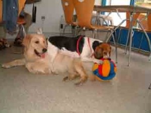 1380946104-488319607