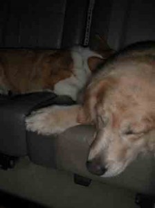 1380946105-3163916402