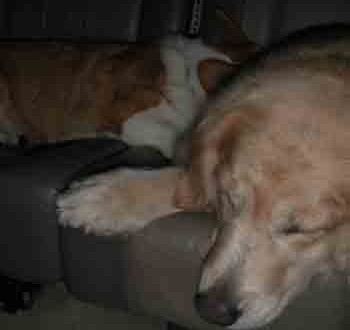 1380946105-3163916402