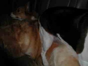 1380946105-3310526279