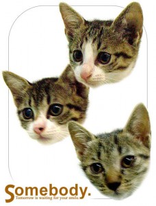 1380946107-3534722812