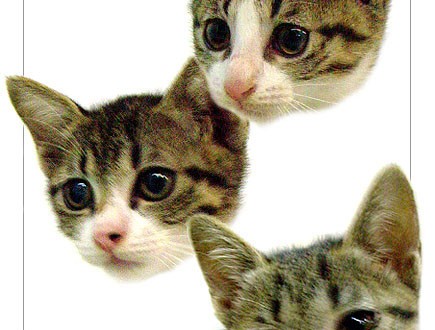 1380946107-3534722812