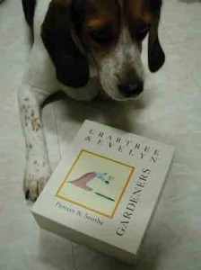 1380946108-2692746844