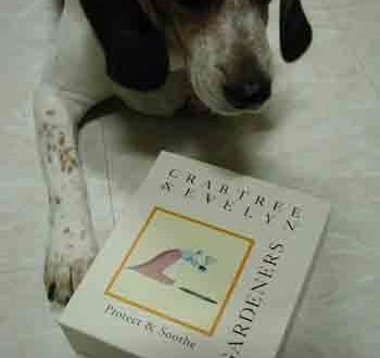 1380946108-2692746844