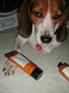 1380946109-3793530625