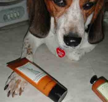 1380946109-3793530625