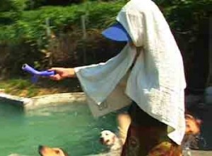 1380946110-1396912271