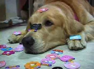 1380946112-2000313953