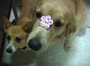 1380946112-717222543