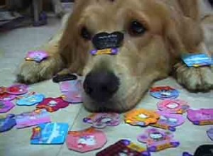 1380946113-1205711482