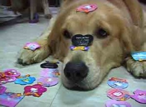 1380946113-1790568428