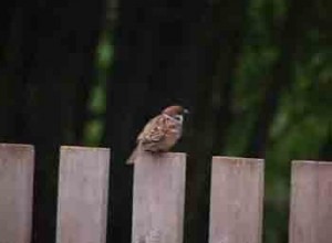 1380946115-1145195674