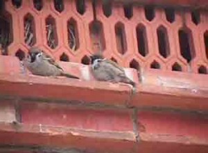 1380946115-2647067531