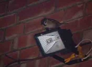 1380946115-648210273