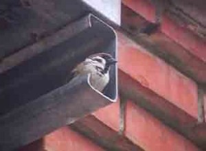 1380946116-2935336689