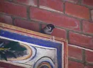 1380946116-742171287