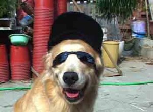 1380946122-4168954886