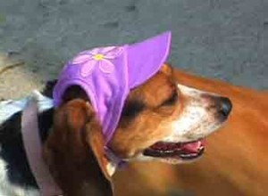 1380946123-1239736061