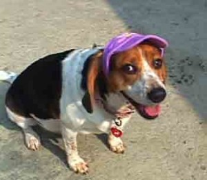 1380946123-3515282305