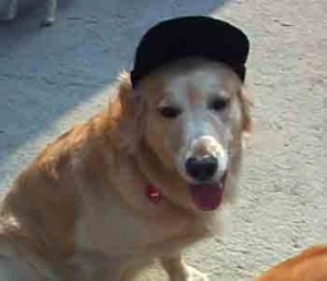 1380946123-4166520817