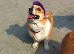 1380946124-2962555237