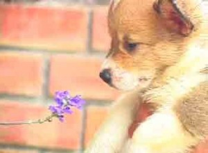 1380946125-3228685596