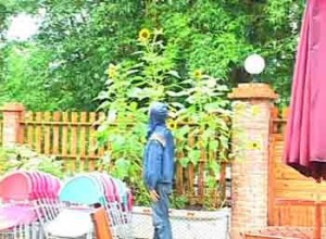 1380946126-3369834484