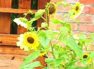 1380946126-3919073994