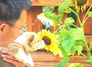 1380946127-2756079706